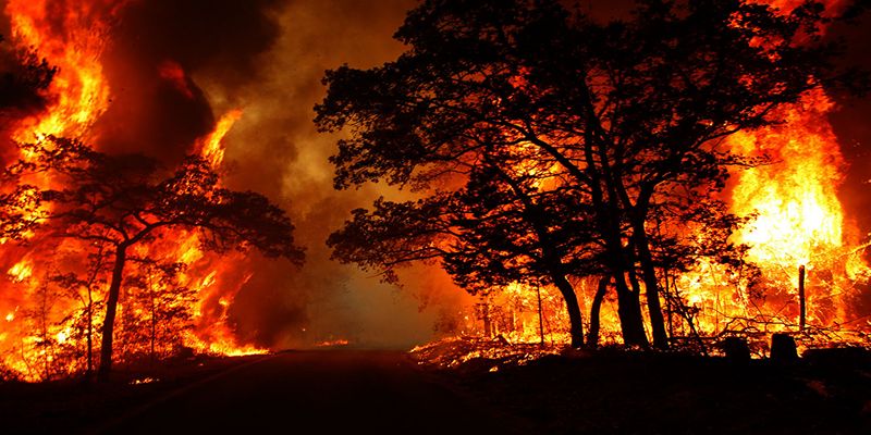 Nằm mơ thấy lửa cháy thiêu đốt cánh rừng rất lớn